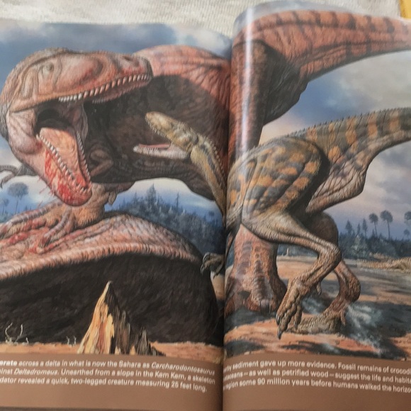 National Geographic Vol. 189 No. 6 June 1996. - Picture 12 of 13